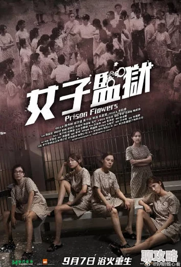 中文字幕无码午夜场高清修复版现已上线资源更新至第10集