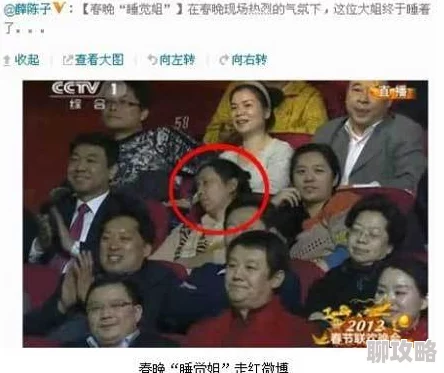 高傲教师麻麻被同学调教123第四章校庆晚会上的意外
